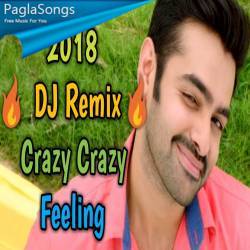 Crazy Crazy Feeling (South Hit Song Mix) Dj M Present Poster