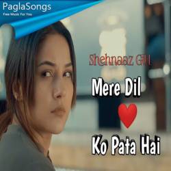 Mere Dil Ko Pata Hai Poster