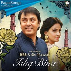 Ishq Bina Poster