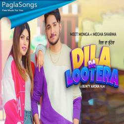 Dila Da Lootera Poster