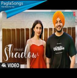 Shadow - Akaal Poster
