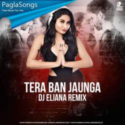 Tera Ban Jaunga (Remix) - DJ Eliana Poster