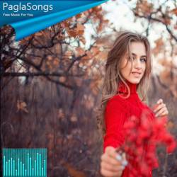 Single Pasanga (South Tapori Mix) Dj Liku Nd Dj Grx Poster