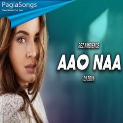 Aao Naa (Remix) DJ Zoya Poster