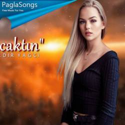 Neyim Olacaktin (Kadir YAGCI Remix) - Zehra Poster