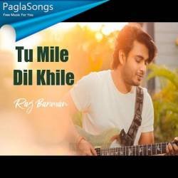 Tu Mile Dil Khile Cover Poster