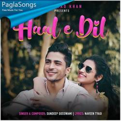 Haal E Dil Poster