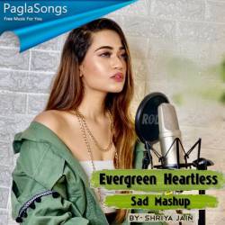 Evergreen Heartless Sad Mashup Poster