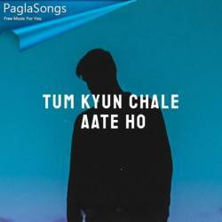 Tum Kyu Chale Aate Ho Poster