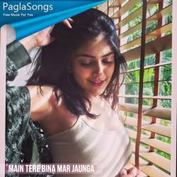 Main Tere Bina Mar Jaunga Poster