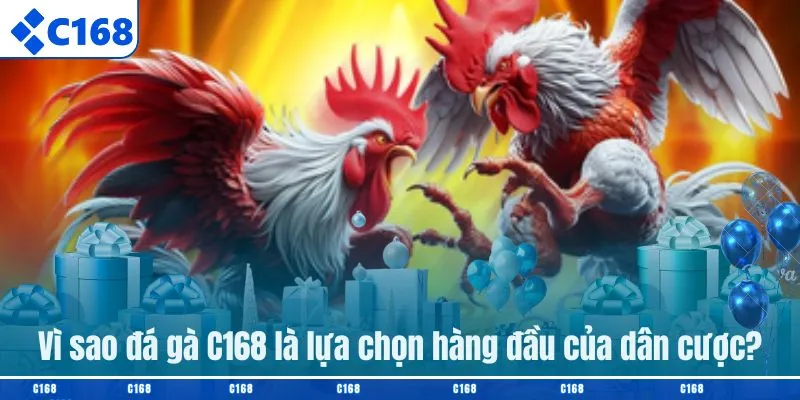 Vì sao đá gà C168 là lựa chọn hàng đầu của dân cược?